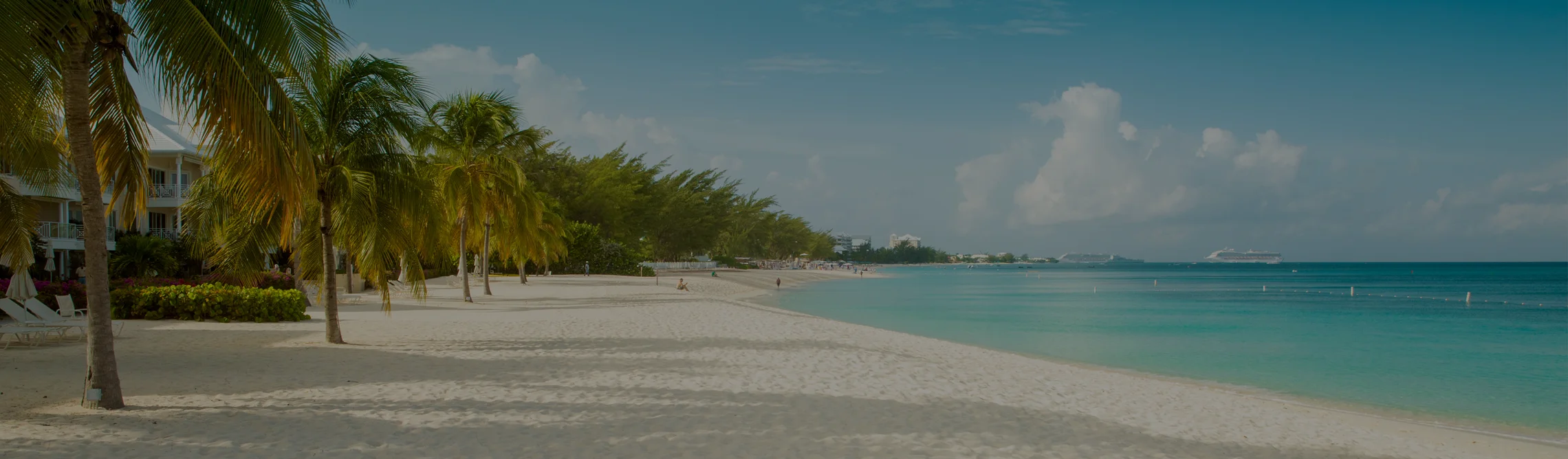 Pristine white sand beach with swaying palm trees and turquoise waters in Grand Cayman, Caribbean