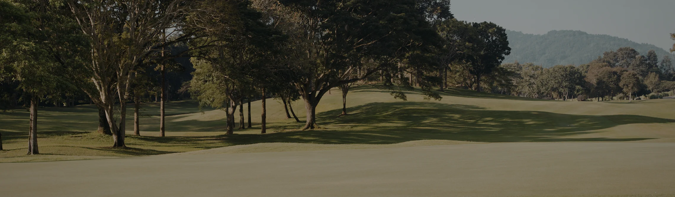 Pristine Pinehurst golf course with rolling fairways, mature trees, and mountain backdrop for luxury travel