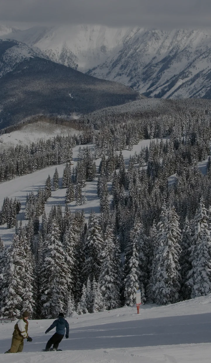 Two skiers descending pristine powder slopes surrounded by snow-laden evergreens at Vail ski resort