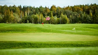 Pristine golf course green with checkered flag pin surrounded by lush fairways and forest backdrop