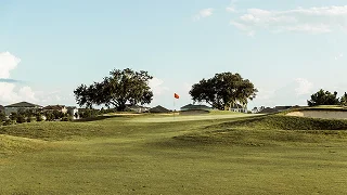 Rolling green fairways and manicured greens of Bandon Dunes golf course with coastal trees
