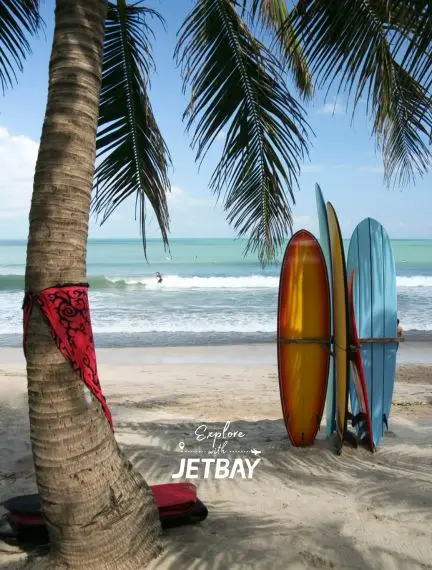 Colorful surfboards rest against palm trees on pristine Bali beach, showcasing tropical paradise destination