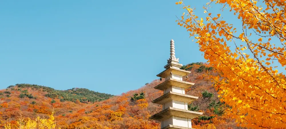 Traditional Korean pagoda surrounded by vibrant autumn foliage in Busan's mountainous landscape