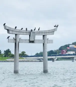 Traditional Japanese torii gate standing in water with birds perched on top in Fukuoka, Japan