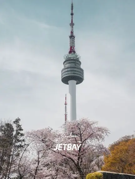 Seoul Tower rising above blooming cherry blossoms during spring season in South Korea's capital city