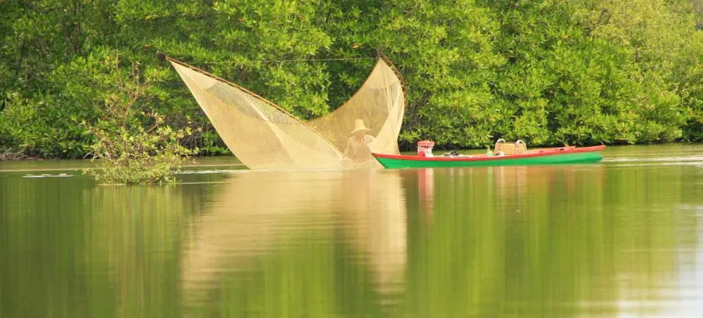 Traditional Cambodian fishing boat with large nets on tranquil river surrounded by lush tropical vegetation