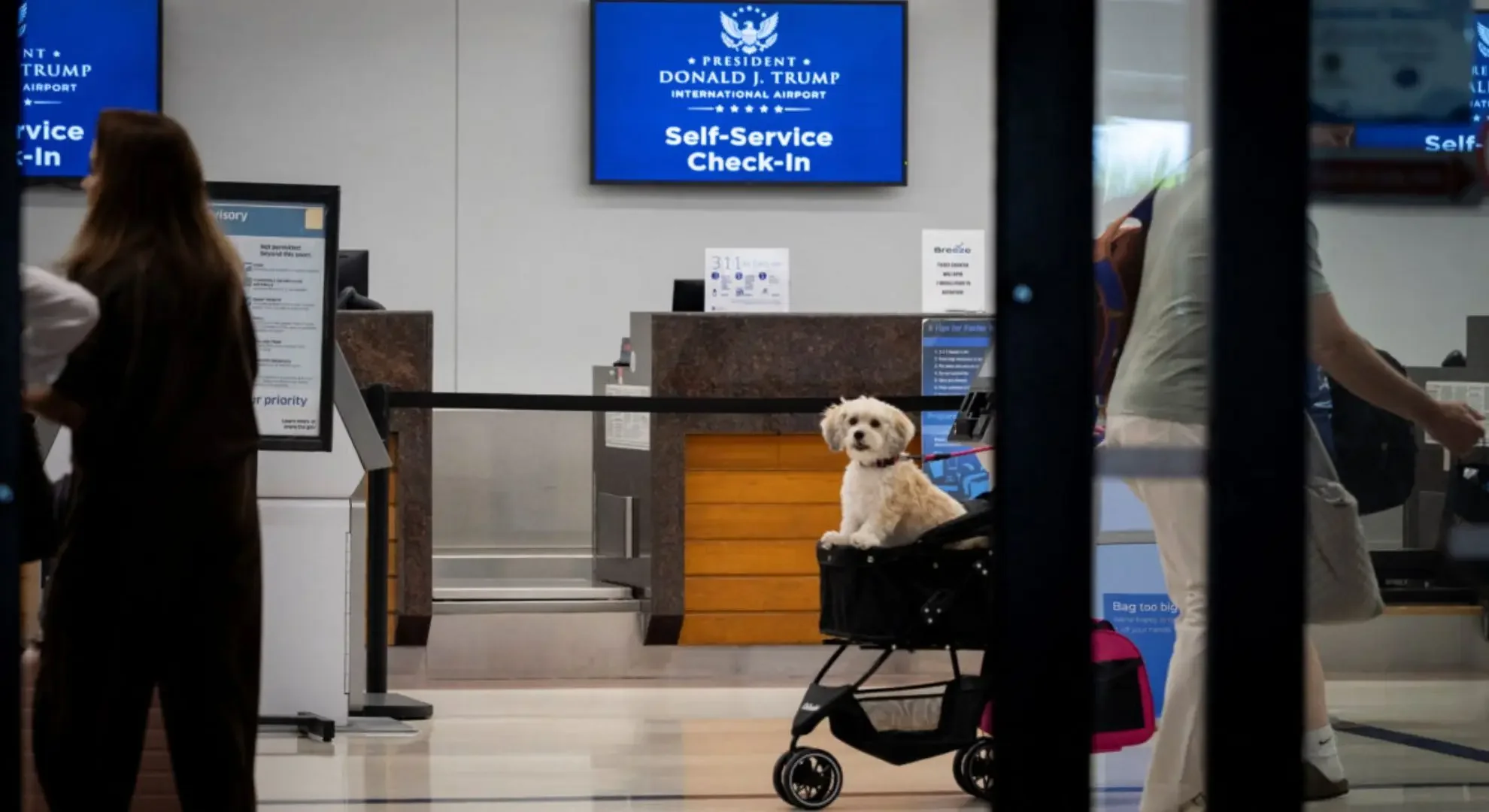 Small white dog in a pet stroller with a screen displaying the new President Donald J. Trump International Airport
